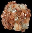 Aragonite Twinned Crystal Cluster - Morocco #49277-1